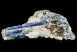 Vibrant Blue Kyanite Crystal In Quartz - Brazil #113482-1
